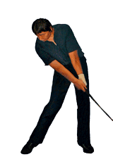 �S���t��B�@�̃X�C���O