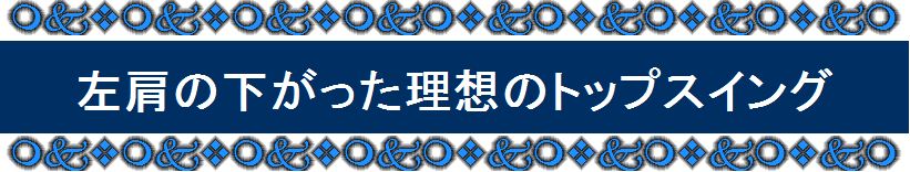 �S���t��B�@�̃X�C���O